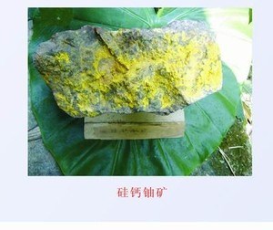 沒有離心機，第一顆原子彈的鈾從哪里來？